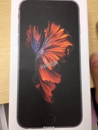 Alleged-iPhone-6s-box